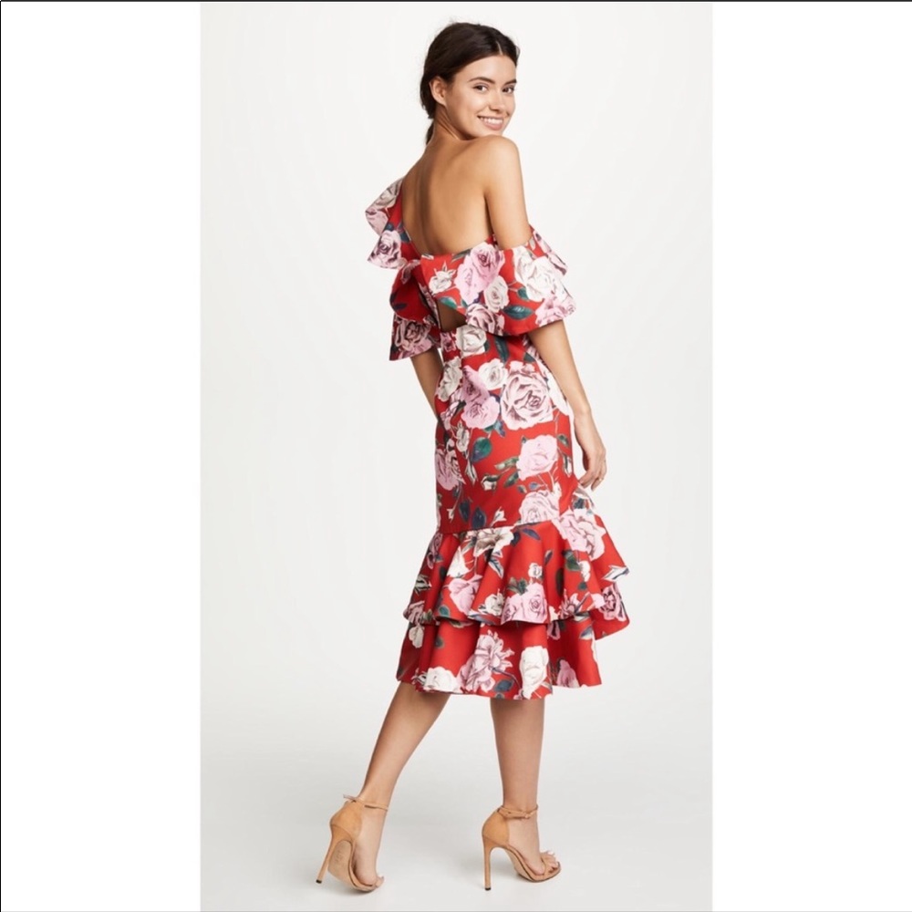 Fame and Partners Natasha Dress